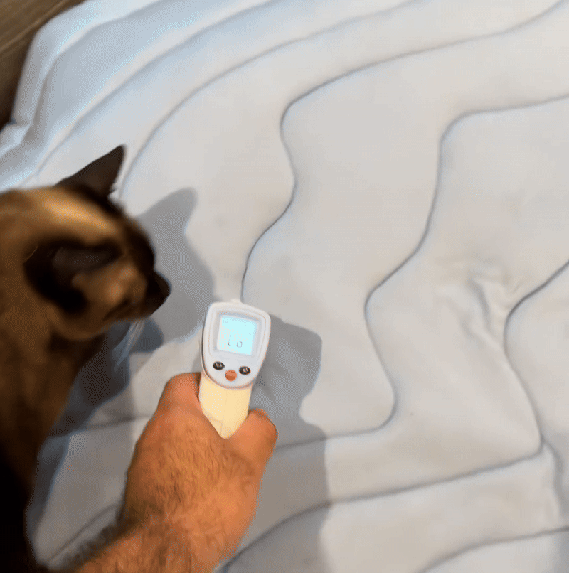 PupFreeze™ All-Pet Summer Cooling Mat