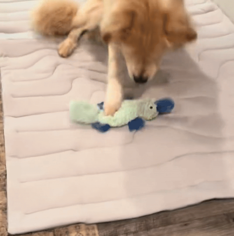 PupFreeze™ All-Pet Summer Cooling Mat