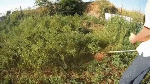 RootRazor™ – Ultimate Chainsaw Brush & Root Cutter Blade