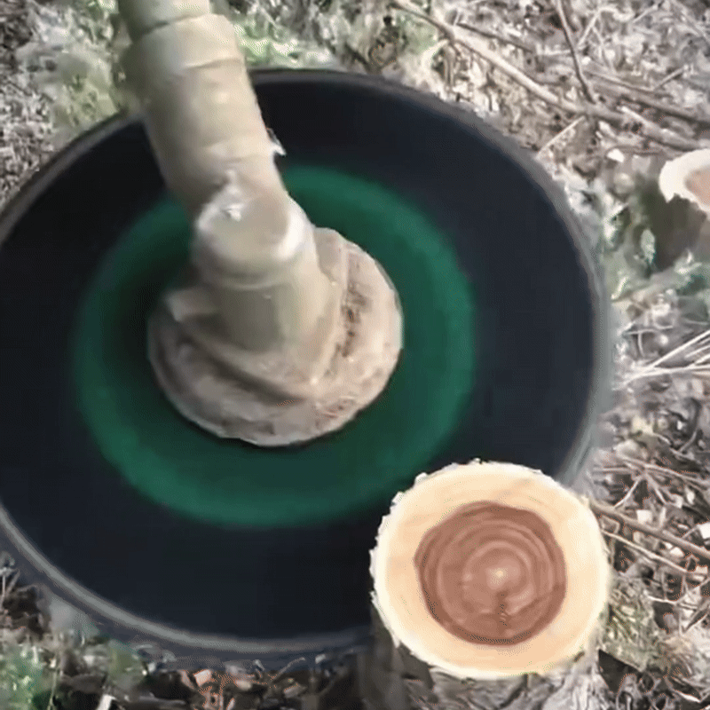 RootRazor™ – Ultimate Chainsaw Brush & Root Cutter Blade