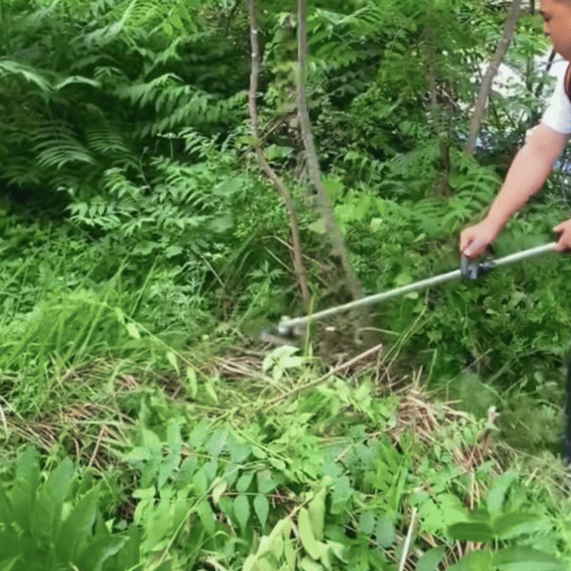 RootRazor™ – Ultimate Chainsaw Brush & Root Cutter Blade