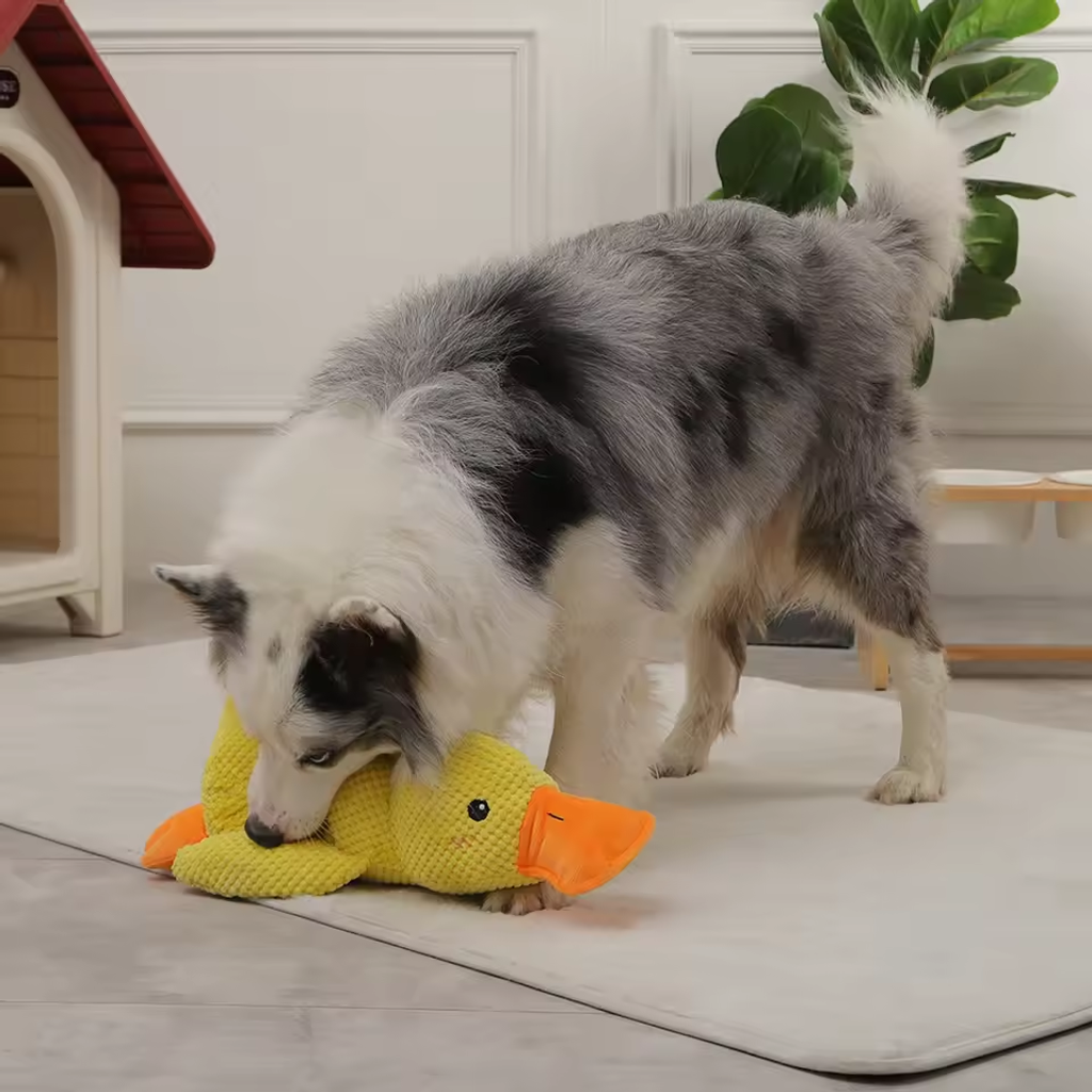 🔥Last Day Sale 50% OFF✨😸Best Friends Calming Duck Toy🐶