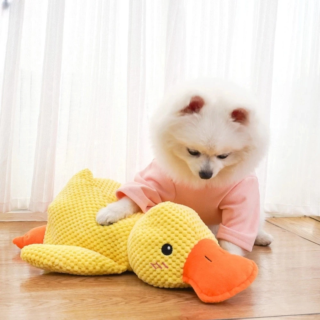 🔥Last Day Sale 50% OFF✨😸Best Friends Calming Duck Toy🐶