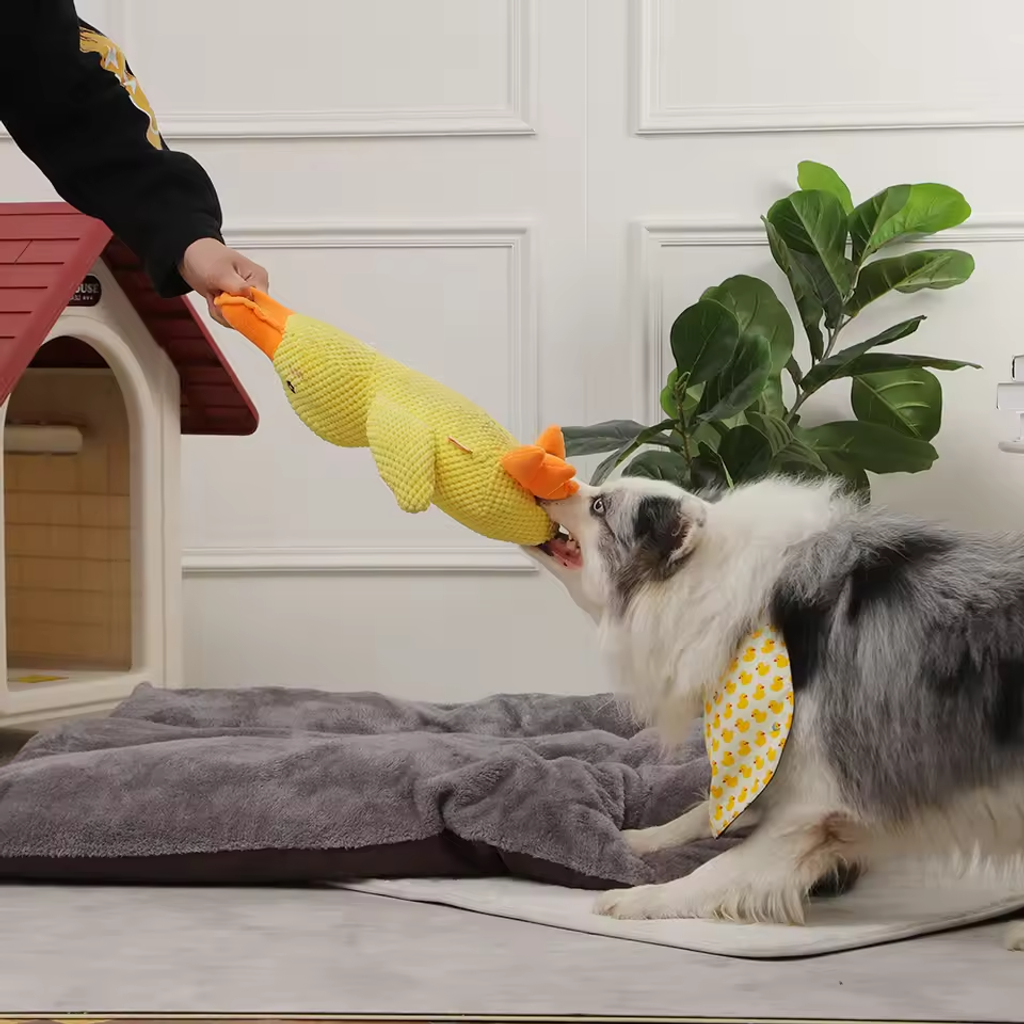 🔥Last Day Sale 50% OFF✨😸Best Friends Calming Duck Toy🐶