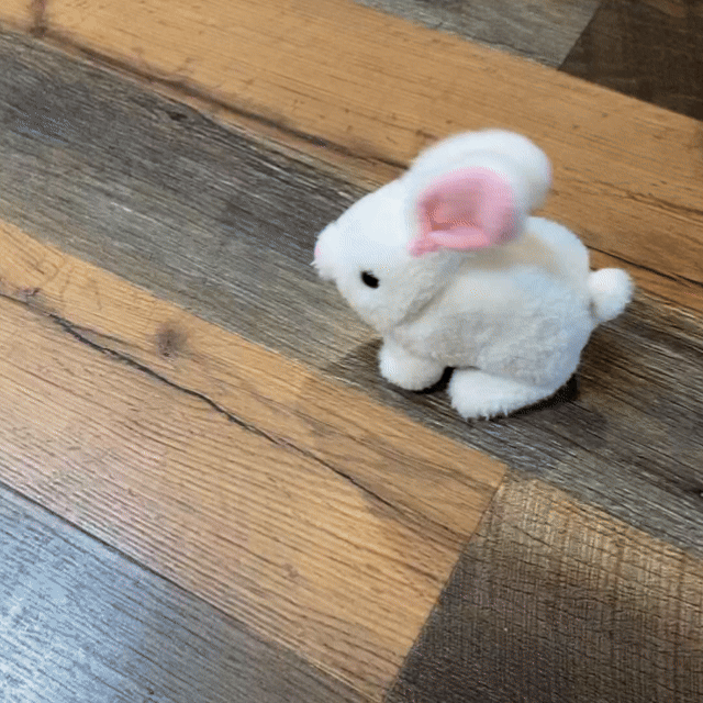 🐰✨ Final Day Deal – 50% OFF My Realistic Bunny Toy 🎉