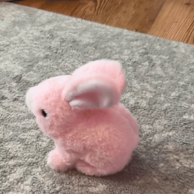 🐰✨ Final Day Deal – 50% OFF My Realistic Bunny Toy 🎉